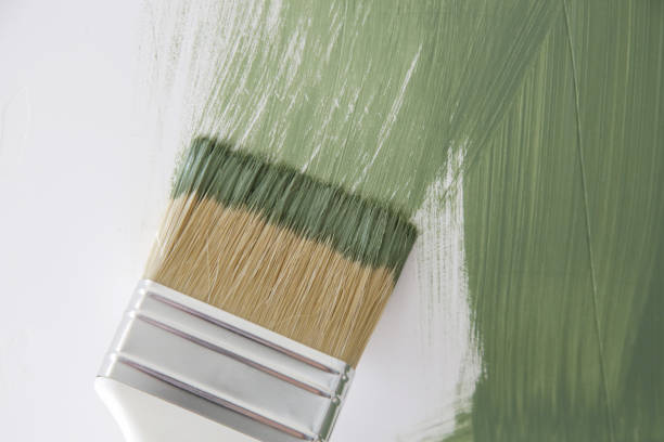 Best Mold Odor Removal Services  in University, MS