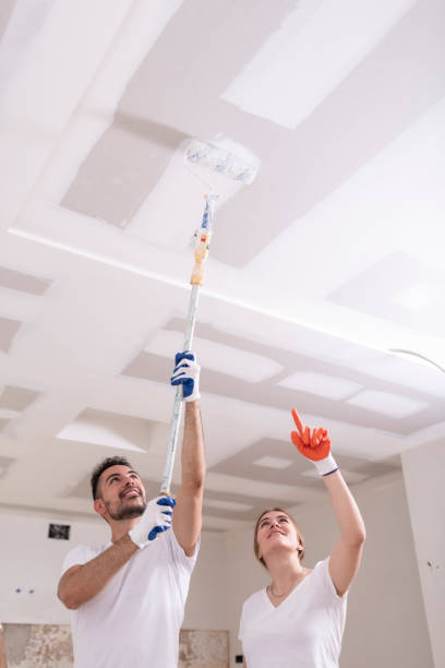 Best Dehumidification Services  in University, MS